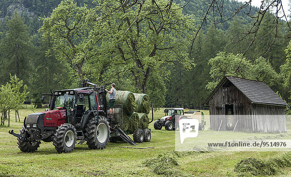 Tractor with hay  hay harvest  Upper Austria  Austria  Europe