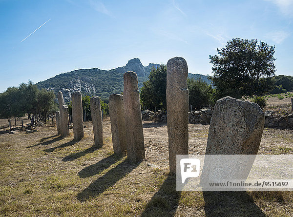 Prähistorische Funde von Stantari  Menhire Alignement d' Stantari  archäologische Fundstätte der Jungsteinzeit  Cauria  Fontanaccia  Korsika  Frankreich  Europa