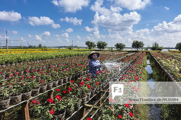 Arbeiterin bewässert die Blumen  Gärtnerei  Sa dec  Long Xuyen  Mekong Delta  Vietnam  Asien