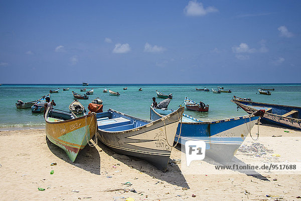 Bunte Fischerboote  Qalansia  Insel Sokotra  Jemen  Asien