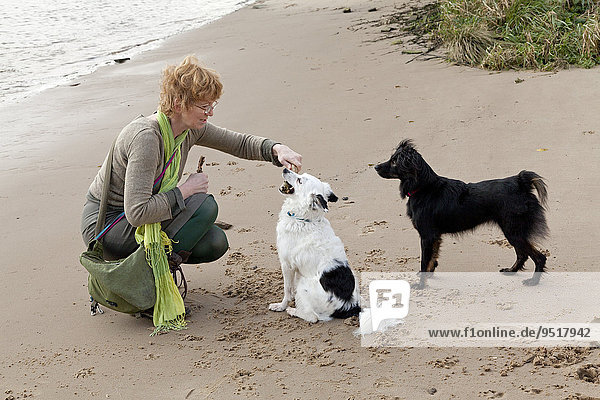 Woman with a white and a black mixed-breed dog on a beach