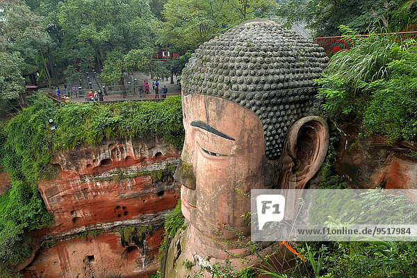 Größter Buddha der Welt aus Stein  Großer Buddha von Leshan  Leshan  Provinz Sichuan  China  Asien