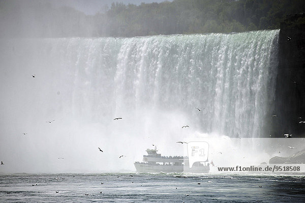 Horseshoe Falls  Niagara Falls  Niagara Falls  Ontario Province  Canada  North America