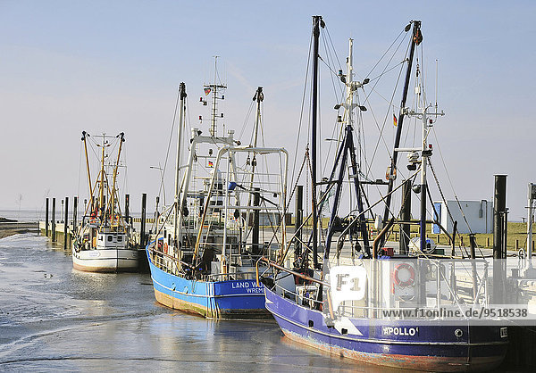 Fishing port  Wremen  Lower Saxony  Germany  Europe