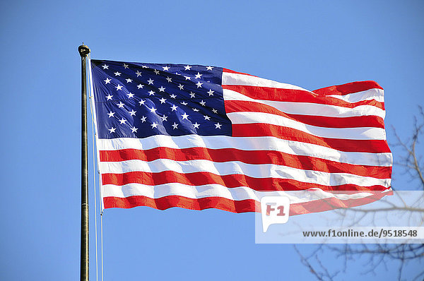 American Flag  Liberty Island  New York  United States  North America