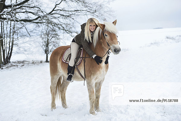 Young woman riding Haflinger horse in snow