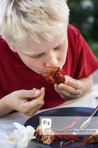 Boy eating crayfish