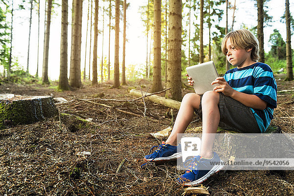 benutzen Junge - Person Wald Tablet PC