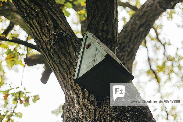 Vogelhaus an einem Baum hängend