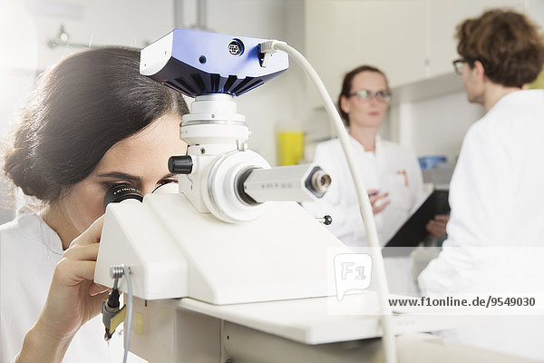 Wissenschaftler  die im Labor arbeiten  Wissenschaftlerinnen  die durchs Mikroskop schauen