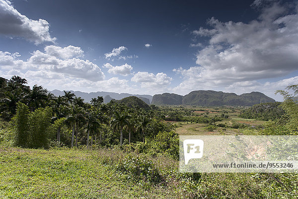 Kuba  Pinar del Rio  Blick ins Vinales-Tal mit Mogotes im Hintergrund