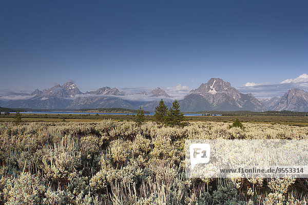 USA  Wyoming  Grand Teton Nationalpark