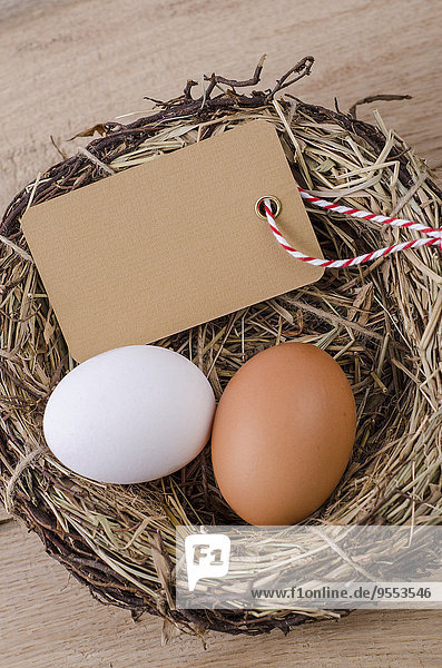 Braunes Ei  weißes Ei und Blanko-Etikett im Nest