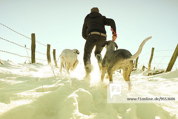Deutschland  Bergisches Land  Mann läuft mit Hunden in Winterlandschaft