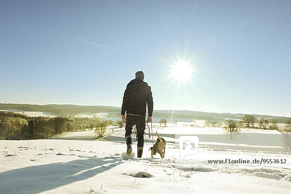 Deutschland  Bergisches Land  Wanderhund in Winterlandschaft
