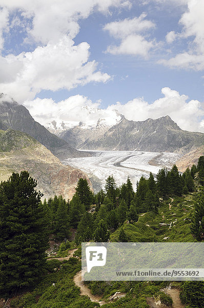 Schweiz, Wallis, Jungfrau-Aletsch-Bietschhorn, Aletschgletscher