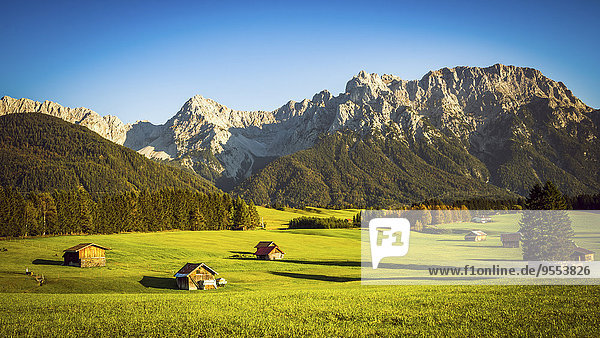 Deutschland  Bayern  Krun  Scheune auf Wiese  Karwendelgebirge im Hintergrund