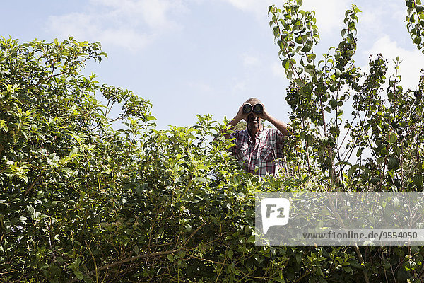 Man looking through binoculars over hedge