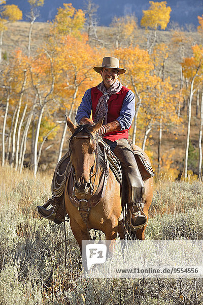 USA  Wyoming  Big Horn Mountains  riding cowboy in autumn