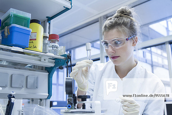 Biologe im Labor mit Blick auf das Reagenzglas