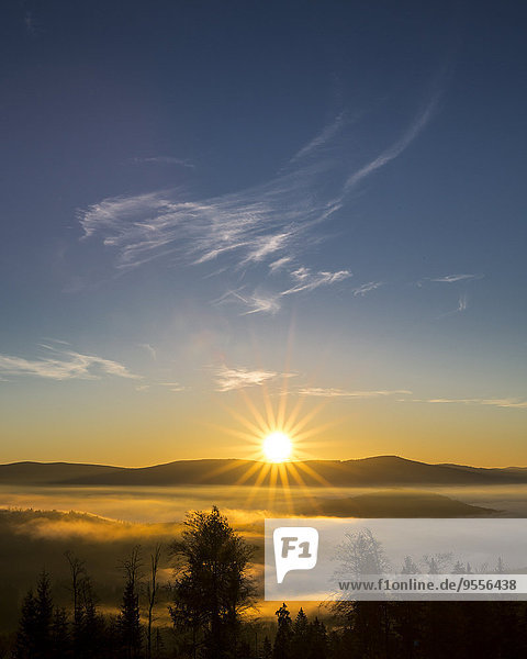 Deutschland  Bayern  Nationalpark Bayerischer Wald  Blick aus dem Tal mit Nebelschwaden bei Sonnenaufgang
