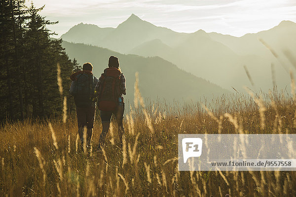 Austria  Tyrol  Tannheimer Tal  young couple hiking in sunlight on alpine meadow