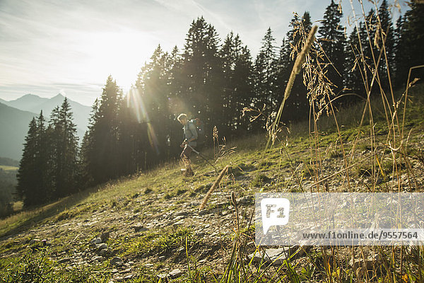 Österreich  Tirol  Tannheimer Tal  junger Mann beim Wandern im Sonnenlicht auf der Alm