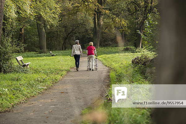 Senior woman and granddaughter walking together in a park  back view