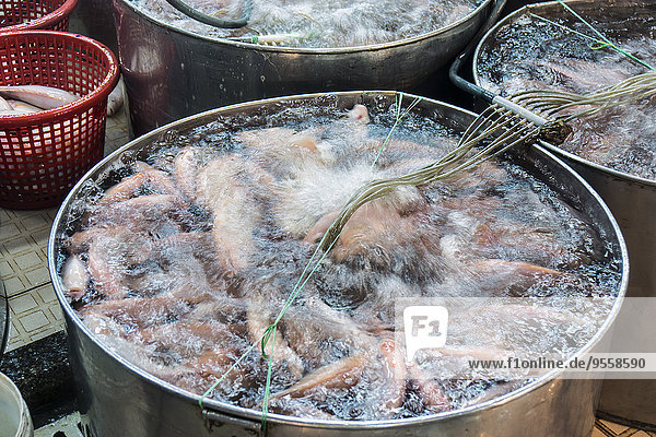 Vietnam  Saigon  tub of living fishes at central market