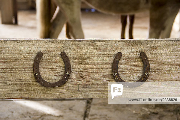 Two horseshoes on wooden bar