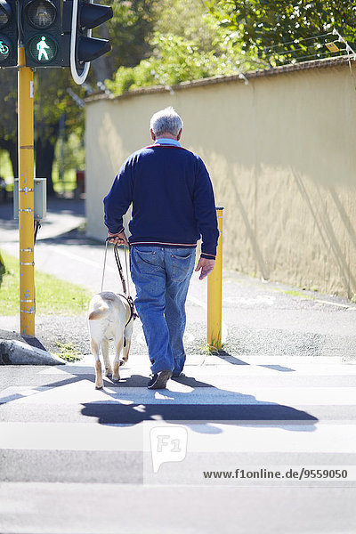Sehbehinderter Mann beim Überqueren einer Straße mit seinem Blindenhund