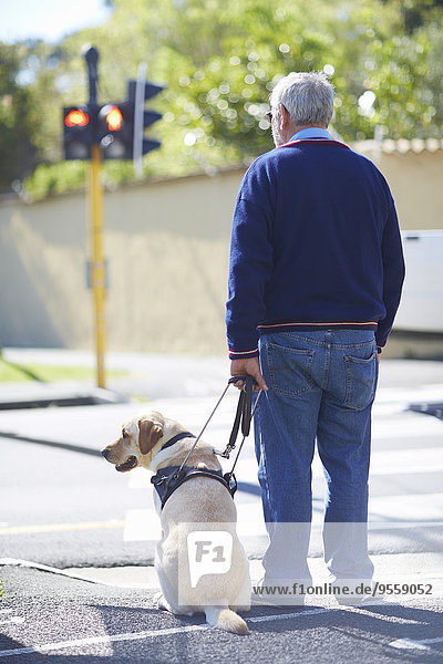 Sehbehinderter Mann wartet mit seinem Blindenhund an der Fußgängerampel