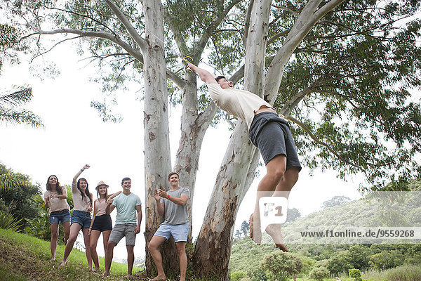 Group of friends cheering while teenager swinging at a tree