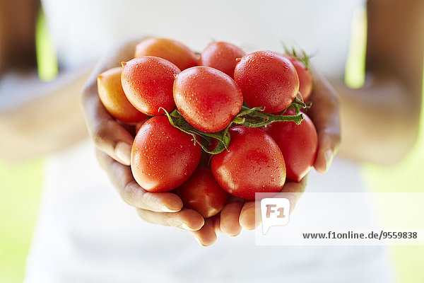 Frauenhände mit Tomaten in der Hand