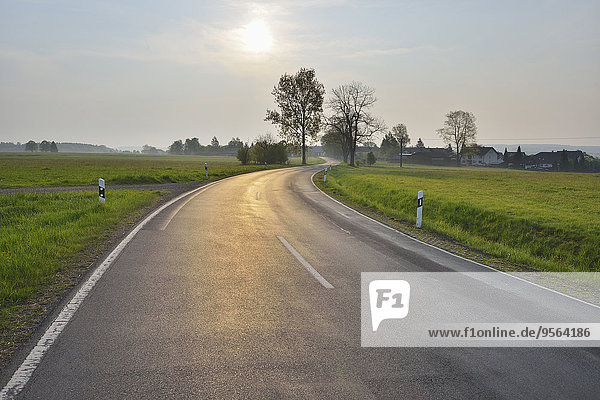 Biegung Biegungen Kurve Kurven gewölbt Bogen gebogen Fernverkehrsstraße Deutschland Hessen Sonne