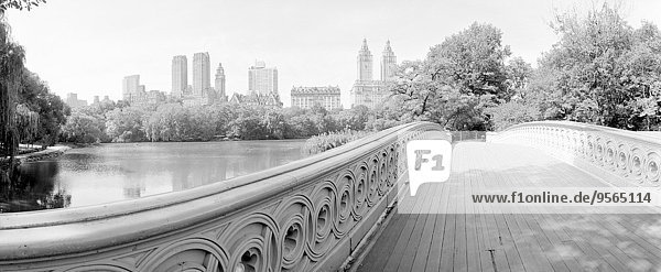Brücke im Central Park  New York City  USA