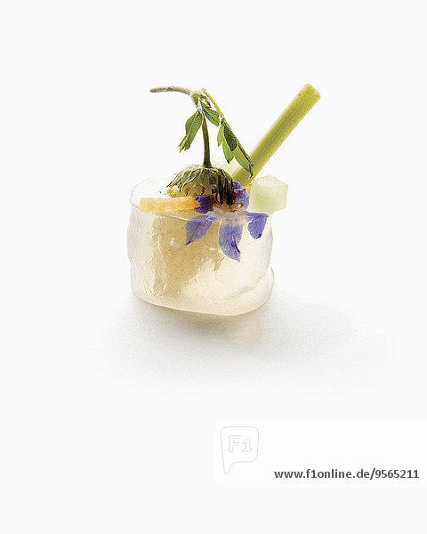 Frische,weiß,Dessert,Marmelade,Götterspeise