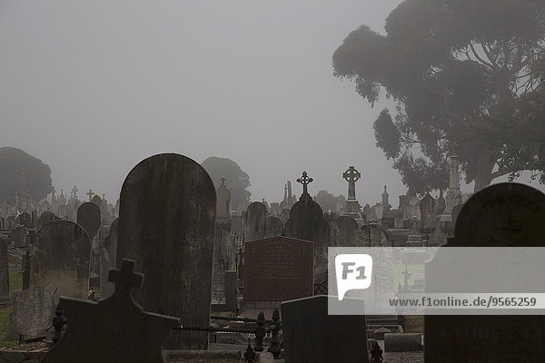 durchsichtig,transparent,transparente,transparentes,Himmel,Victoria,Grabstein,Australien,Friedhof,Melbourne