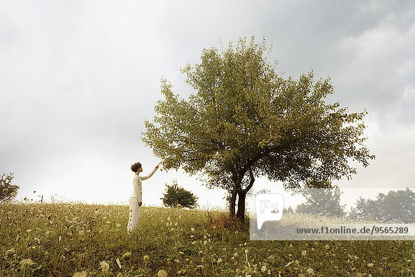 Frau,Baum,Feld,Ansicht,Seitenansicht