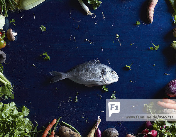 Fisch,Pisces,über,Gemüse,blau,schießen,gerade,Tisch