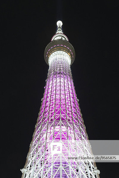 niedrig,beleuchtet,Nacht,Tokyo,Hauptstadt,Ansicht,Flachwinkelansicht,Winkel