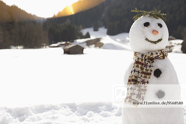 Snowman in sunny field