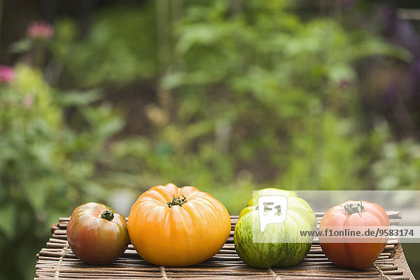 Farbaufnahme Farbe Außenaufnahme Tomate Erbe Tisch freie Natur