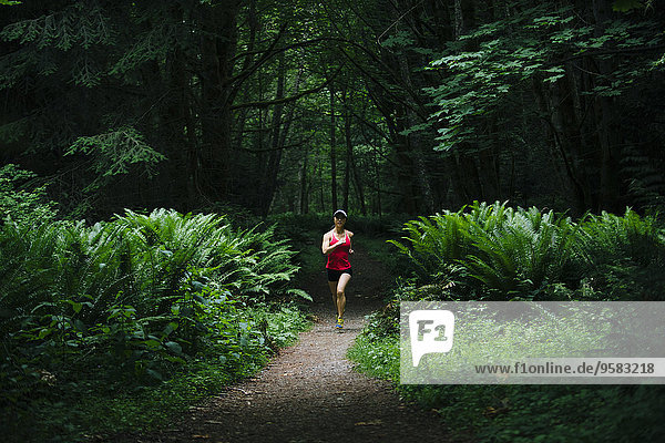 Frau rennen Überfluss Wald südkoreanisch