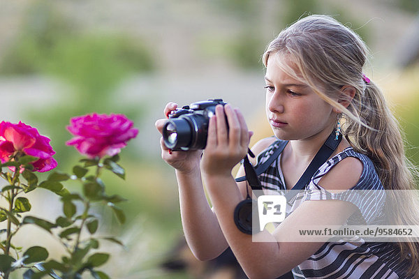 Außenaufnahme Europäer Blume fotografieren Mädchen freie Natur