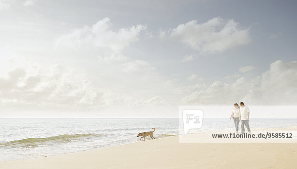 Europäer gehen Strand Hund