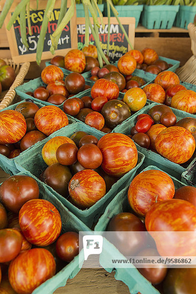 Vielfalt Tomate Landwirtin Markt