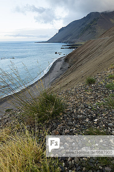 Iceland  Eastfjords  beach