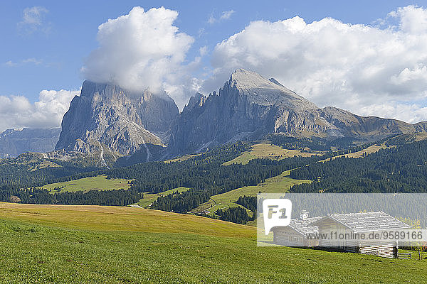 Italien  Südtirol  Dolomiten  Seiser Alm und Langkofel Gruppe