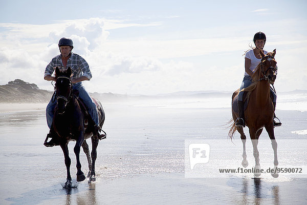 Horse riders galloping  Pakiri Beach  Auckland  New Zealand